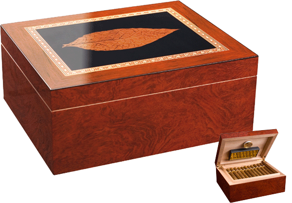 Humidor Venezia Medium Humidor Venezia Medium