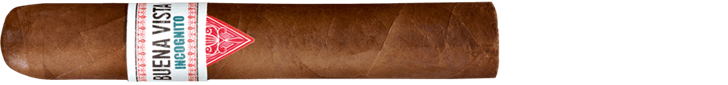 Buena Vista Incognito Robusto