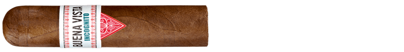 Buena Vista Incognito Short Robusto