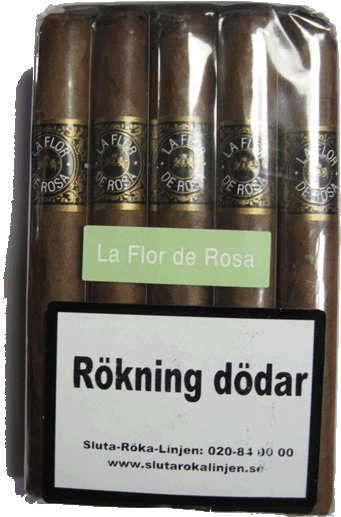 Rosa Cuba Flor de Rosa 10-pack.